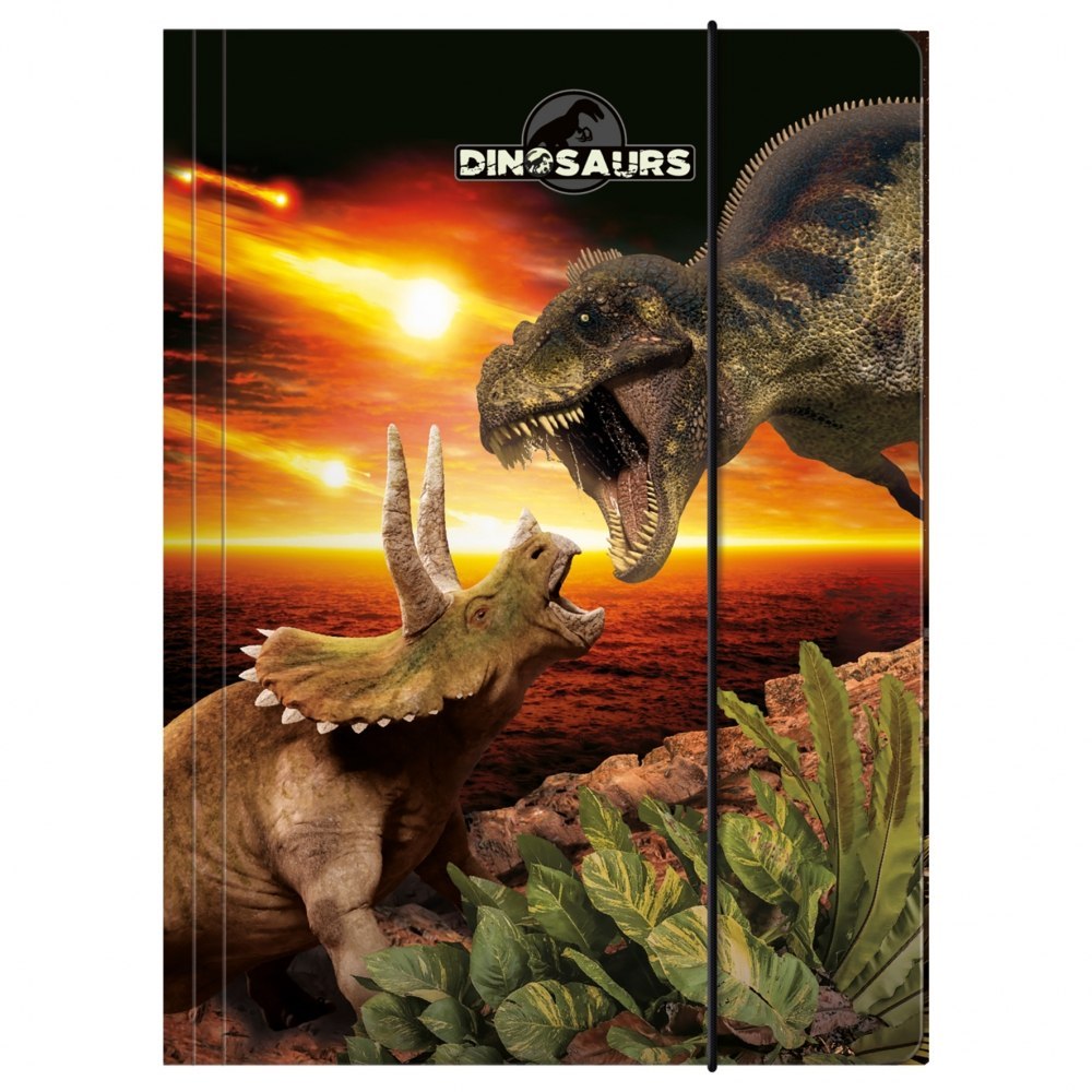 RACCOLTA CON GOMMA PAP A4 DINOSAURO 18 DERF 1/10 DERFORM